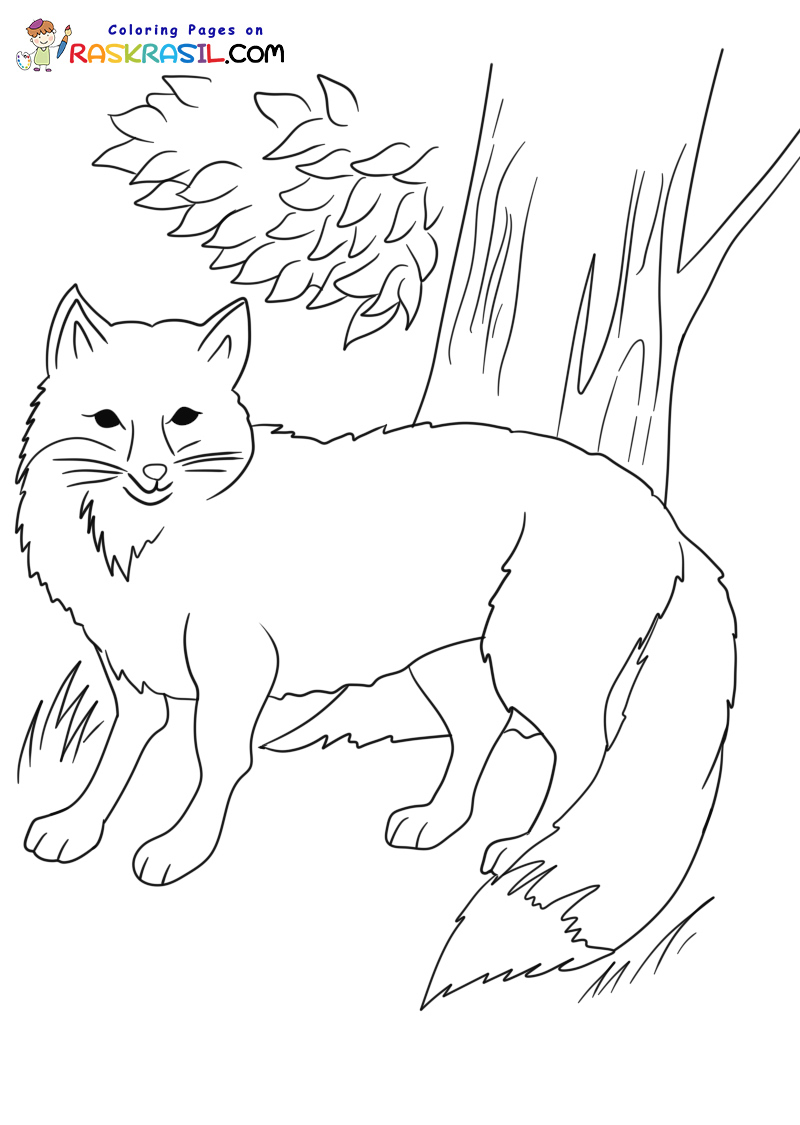 Raskrasil.com-Forest-New-Coloring-Pages-7