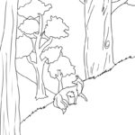Raskrasil.com-Forest-New-Coloring-Pages-8