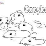 Raskrasil.com-New-Coloring-Pages-Capybara-8