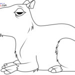 Raskrasil.com-New-Coloring-Pages-Capybara-9