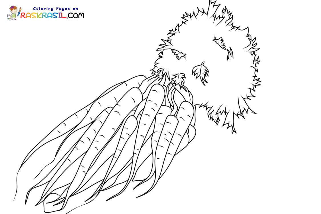 Raskrasil.com-New-Coloring-Pages-Carrot-10