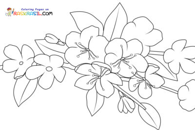 Spring Flowers Coloring Pages
