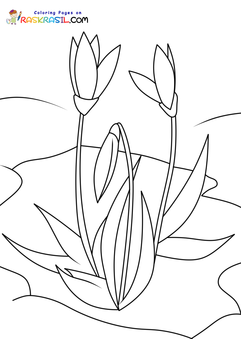 Raskrasil.com-New-Coloring-Pages-Spring-Flowers-3