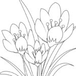 Raskrasil.com-New-Coloring-Pages-Spring-Flowers-4