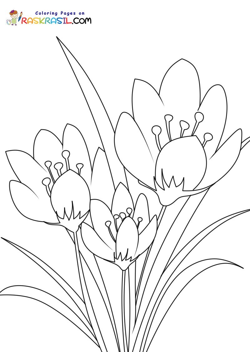 Spring Coloring Pages Flowers