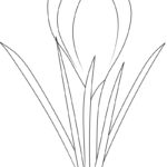 Raskrasil.com-New-Coloring-Pages-Spring-Flowers-5
