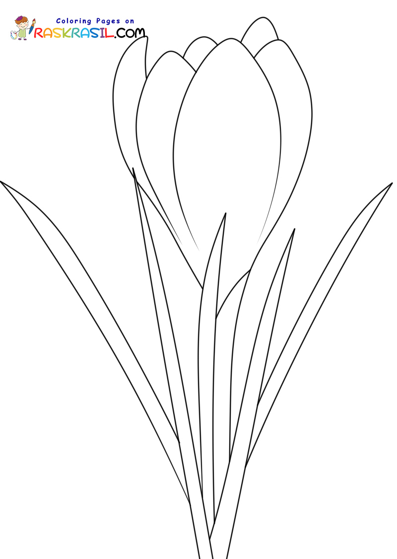 Raskrasil.com-New-Coloring-Pages-Spring-Flowers-5