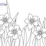 Raskrasil.com-New-Coloring-Pages-Spring-Flowers-6