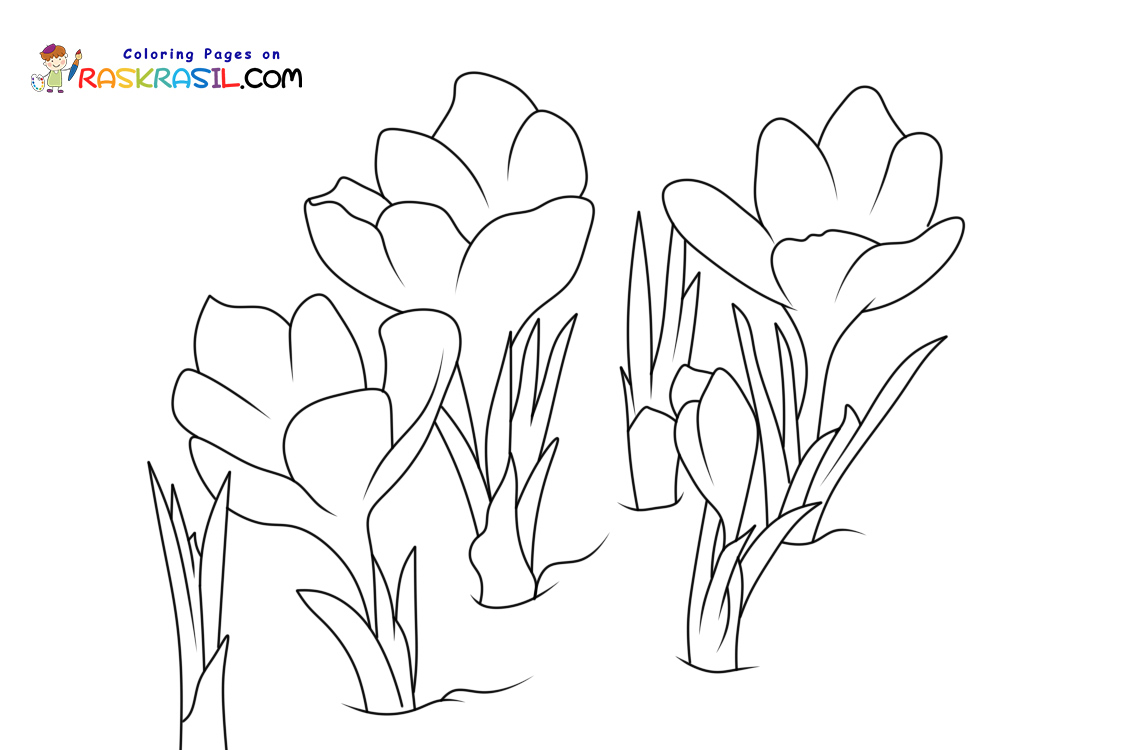 Raskrasil.com-New-Coloring-Pages-Spring-Flowers-9