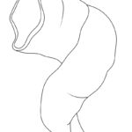 Raskrasil.com-Yom-Kippur-New-Coloring-Pages-6