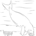Raskrasil.com-Coloring-Pages-Manatee-12