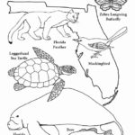 Raskrasil.com-Coloring-Pages-Manatee-15