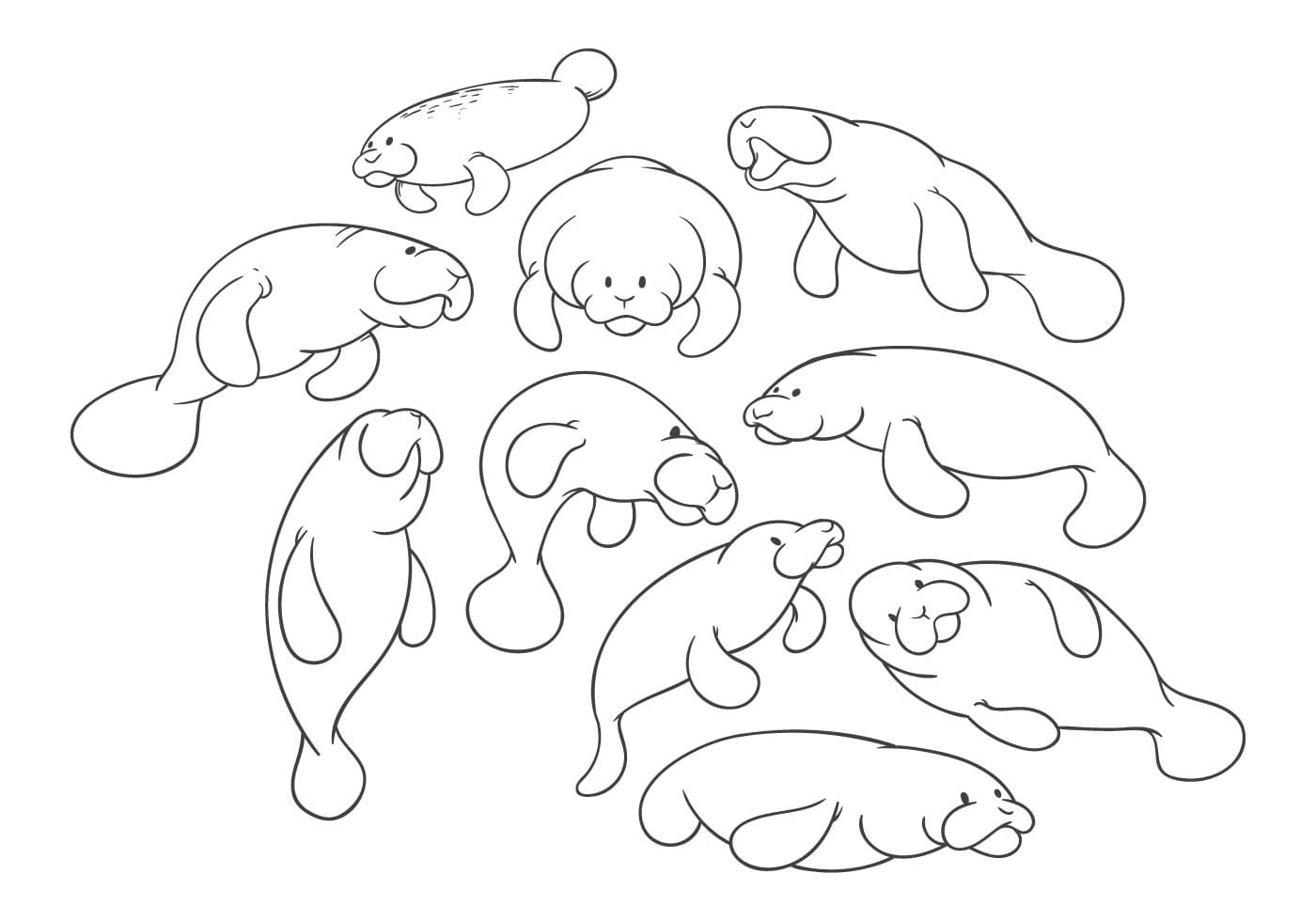 Raskrasil.com-Coloring-Pages-Manatee-16