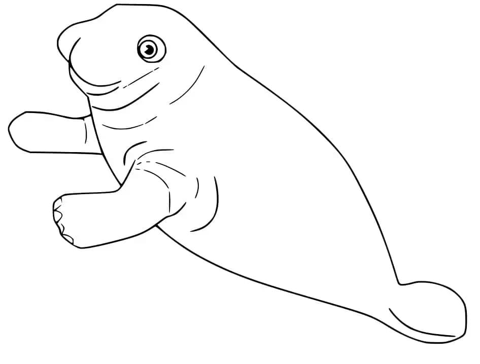 Raskrasil.com-Coloring-Pages-Manatee-21
