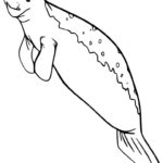 Raskrasil.com-Coloring-Pages-Manatee-23