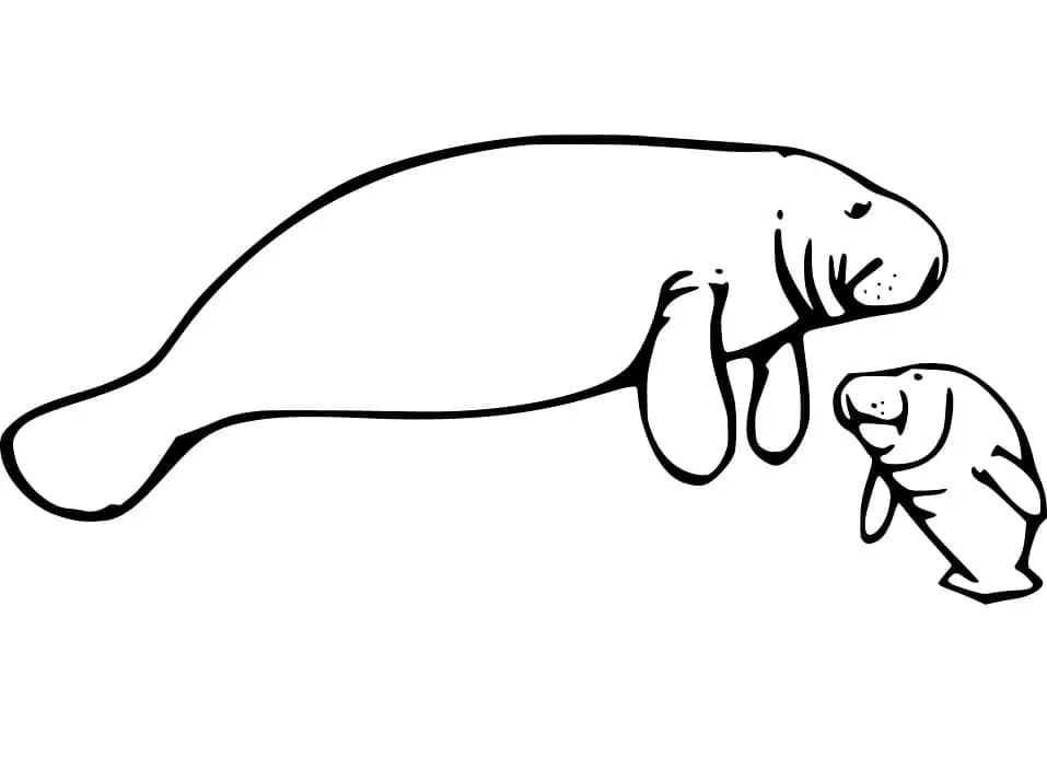 Raskrasil.com-Coloring-Pages-Manatee-24