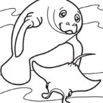 Raskrasil.com-Coloring-Pages-Manatee-31