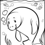 Raskrasil.com-Coloring-Pages-Manatee-32