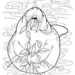 Raskrasil.com-Coloring-Pages-Manatee-33