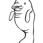 Raskrasil.com-Coloring-Pages-Manatee-34