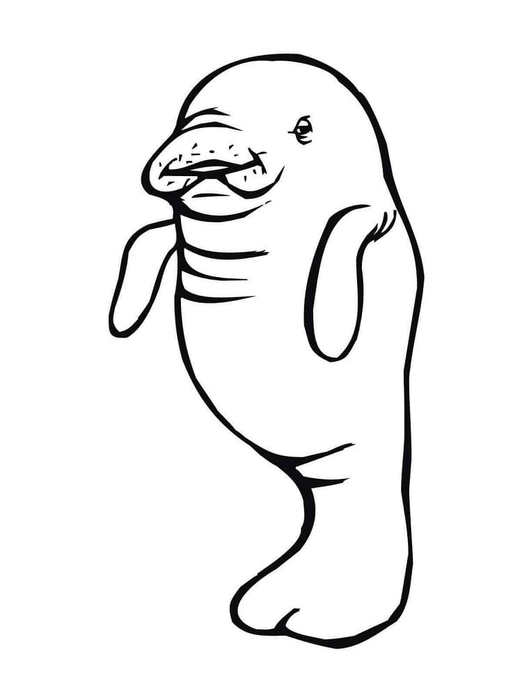 Raskrasil.com-Coloring-Pages-Manatee-34