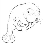 Raskrasil.com-Coloring-Pages-Manatee-38