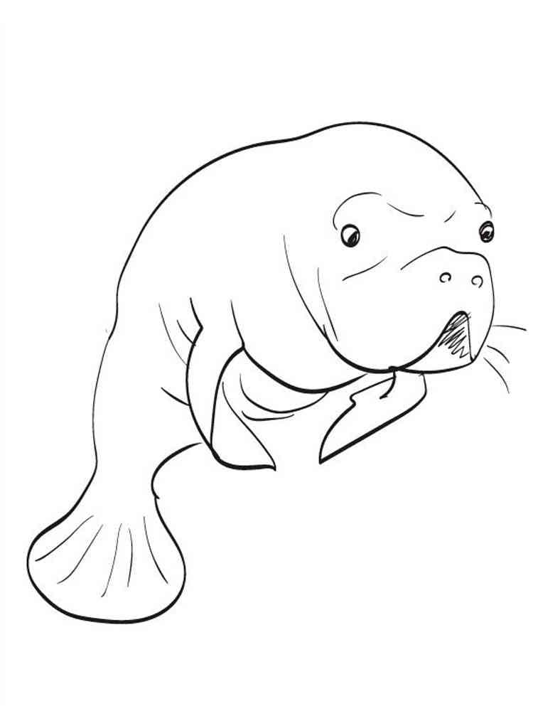 Raskrasil.com-Coloring-Pages-Manatee-38
