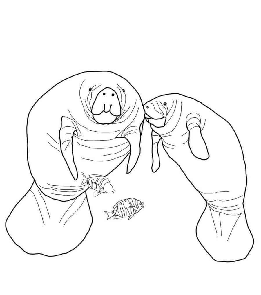 Raskrasil.com-Coloring-Pages-Manatee-39