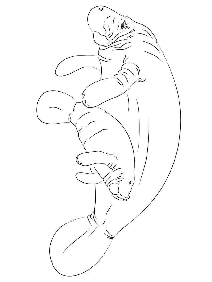 Raskrasil.com-Coloring-Pages-Manatee-40