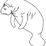Raskrasil.com-Coloring-Pages-Manatee-47