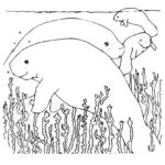 Raskrasil.com-Coloring-Pages-Manatee-5