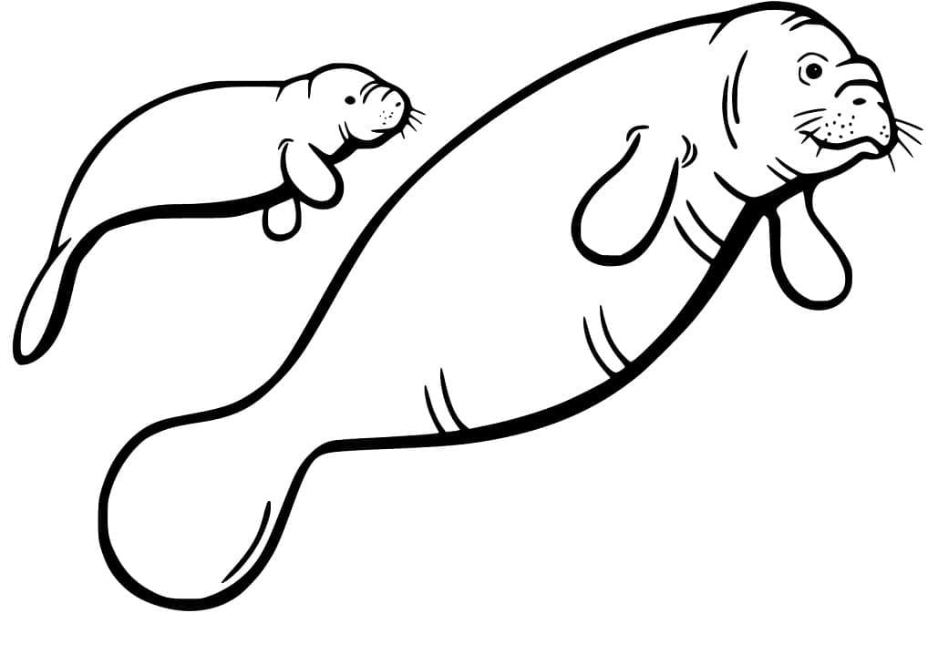Raskrasil.com-Coloring-Pages-Manatee-50
