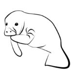 Raskrasil.com-Coloring-Pages-Manatee-53