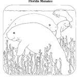 Raskrasil.com-Coloring-Pages-Manatee-54