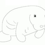 Raskrasil.com-Coloring-Pages-Manatee-55