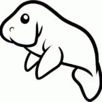 Raskrasil.com-Coloring-Pages-Manatee-6