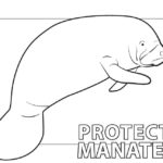 Raskrasil.com-Coloring-Pages-Manatee-7