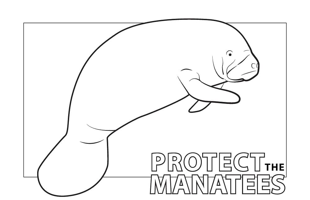 Raskrasil.com-Coloring-Pages-Manatee-7