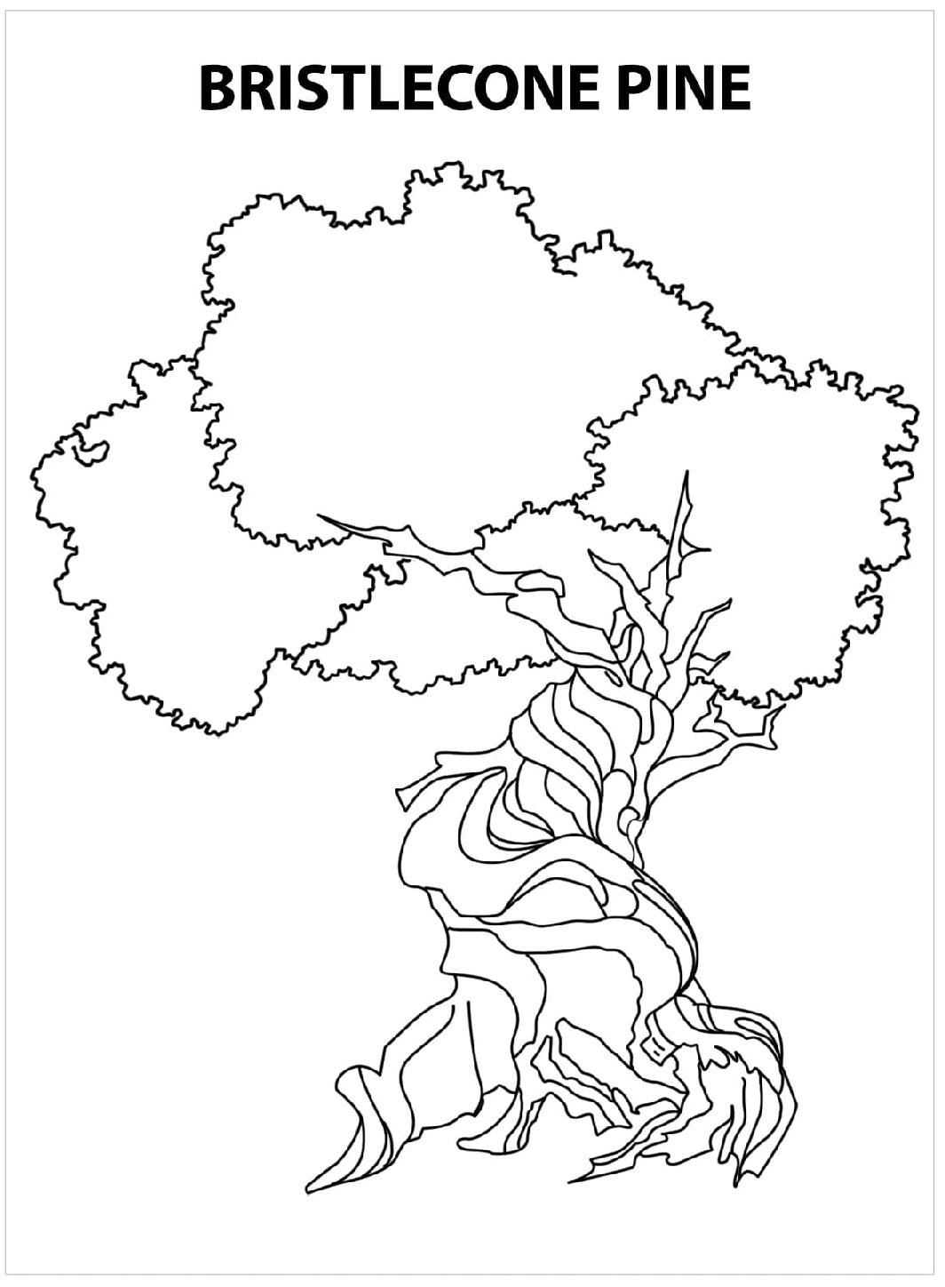 Raskrasil.com-Nevada-Coloring-Pages-15