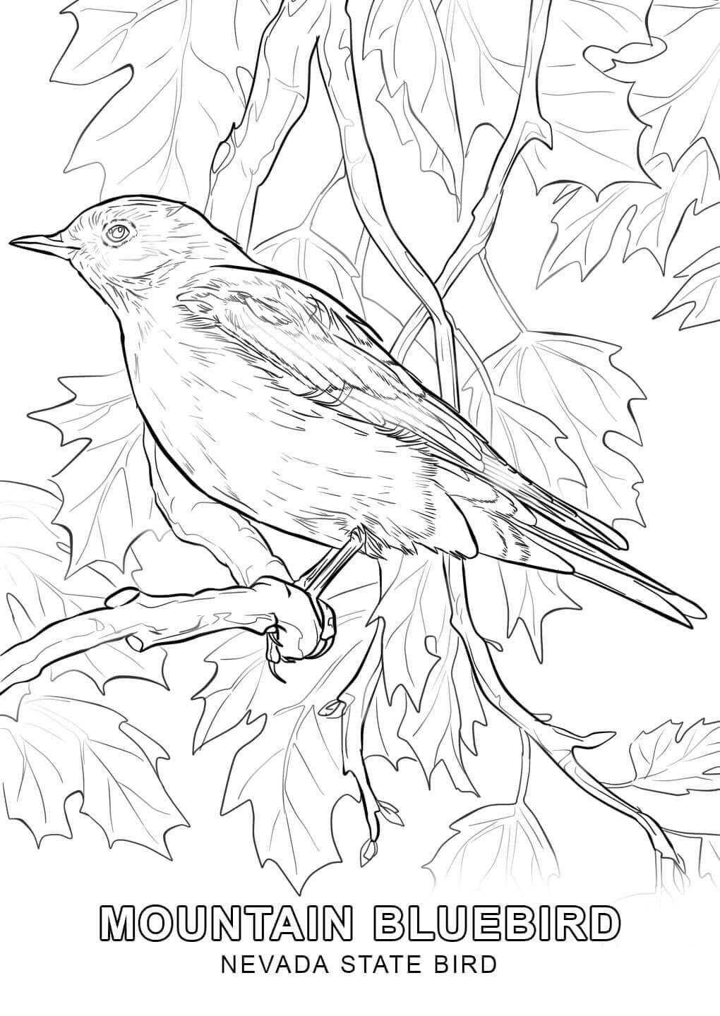 Raskrasil.com-Nevada-Coloring-Pages-6