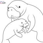 Raskrasil.com-New-Coloring-Pages-Manatee-10