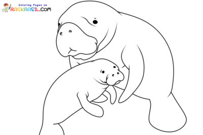 Manatee Coloring Pages