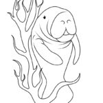 Raskrasil.com-New-Coloring-Pages-Manatee-3