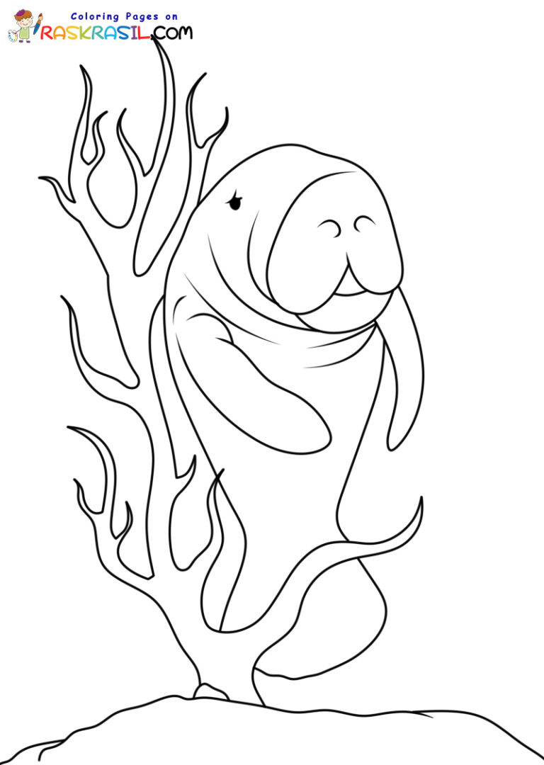 Manatee Coloring Pages