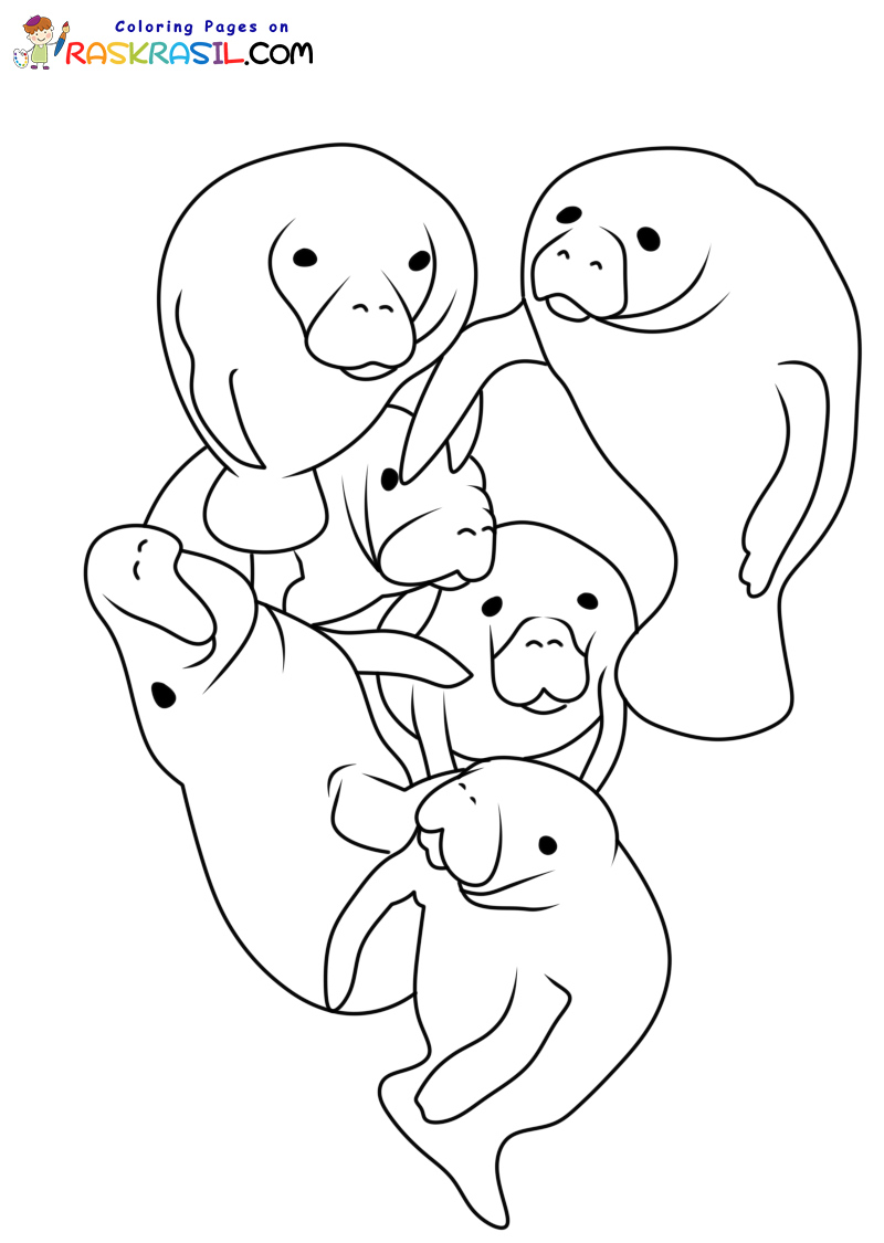 Raskrasil.com-New-Coloring-Pages-Manatee-4