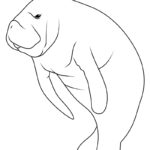 Raskrasil.com-New-Coloring-Pages-Manatee-5