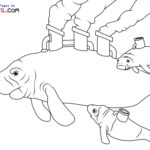 Raskrasil.com-New-Coloring-Pages-Manatee-6