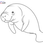 Raskrasil.com-New-Coloring-Pages-Manatee-9
