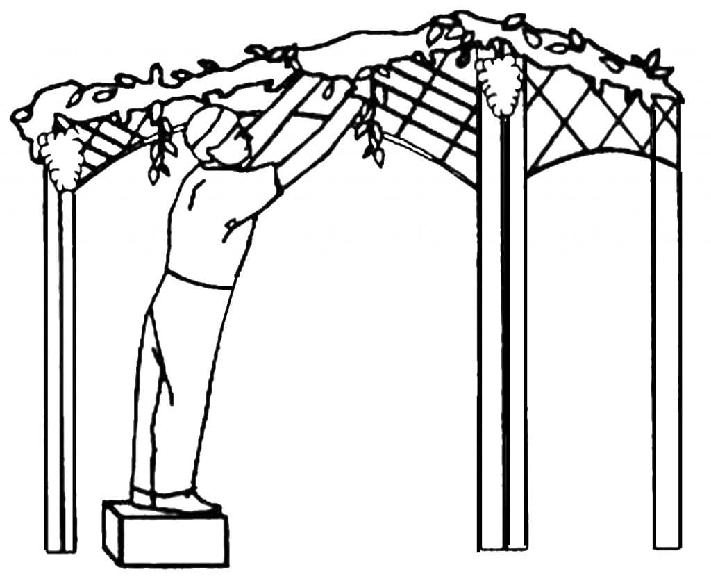Raskrasil.com-Coloring-Pages-Sukkot-48