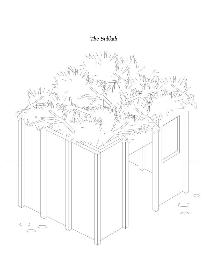 Sukkot Coloring Pages